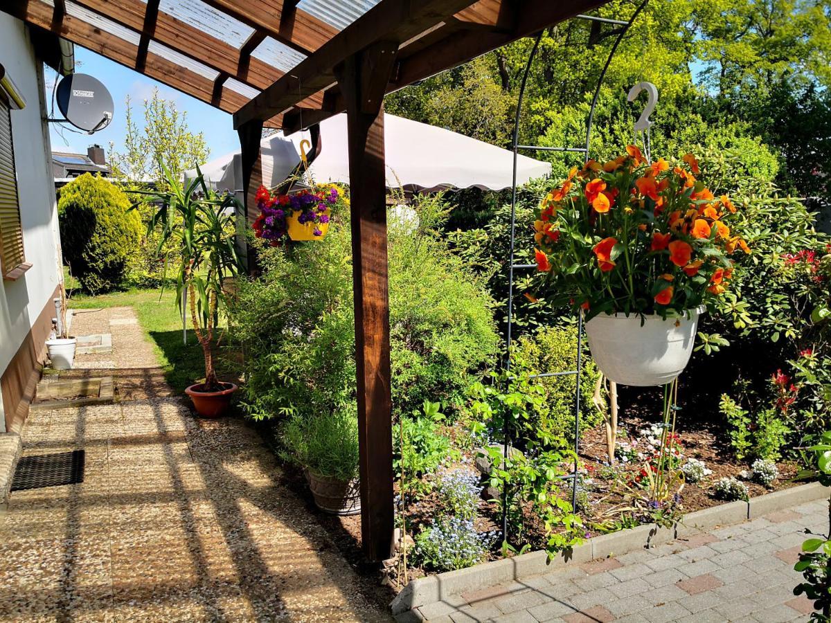 Charmante Ferienwohnung 3 Zimmer Kueche Bad Zentrale Lage Hagen im Bremischen Bagian luar foto